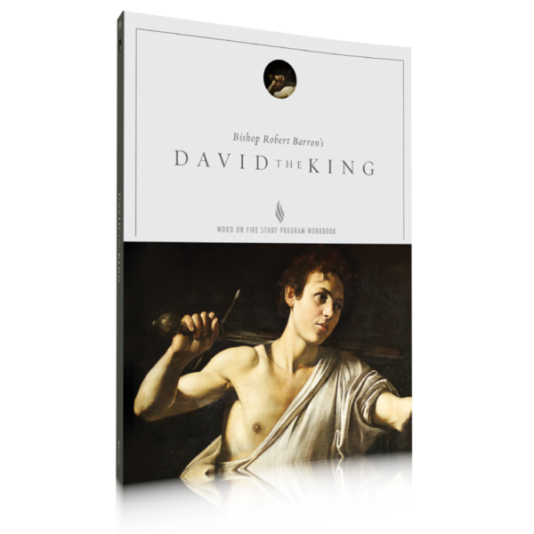 DAVID THE KING – STUDY GUIDE