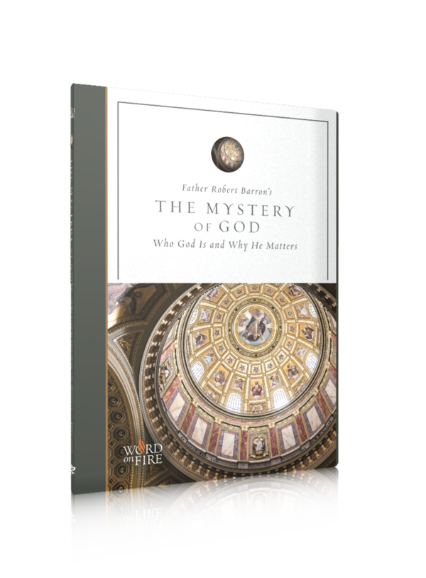 Fr Barron  THE MYSTERY OF GOD  DVD Box          Who God Is and Why He Matters