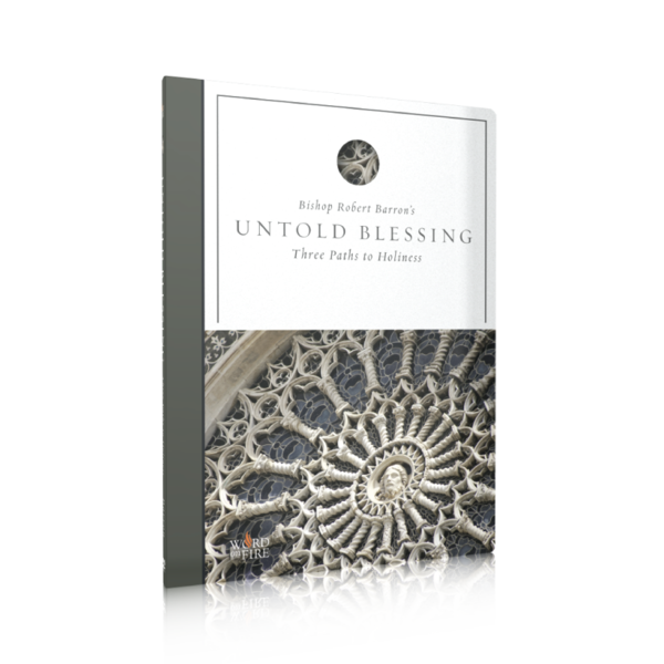 Fr Barron  UNTOLD BLESSINGS   Three Paths to Holiness DVD